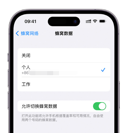 嘉陵苹果维修服务分享如何在iPhone上使用双卡 